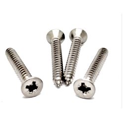 Stainless Steel Screw Manufacturer in India